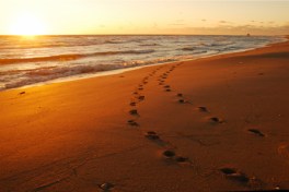 footprints
